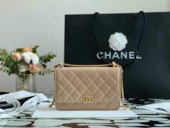 Chanel Calfskin Wallet On Chain Woc Bag 003 19CM