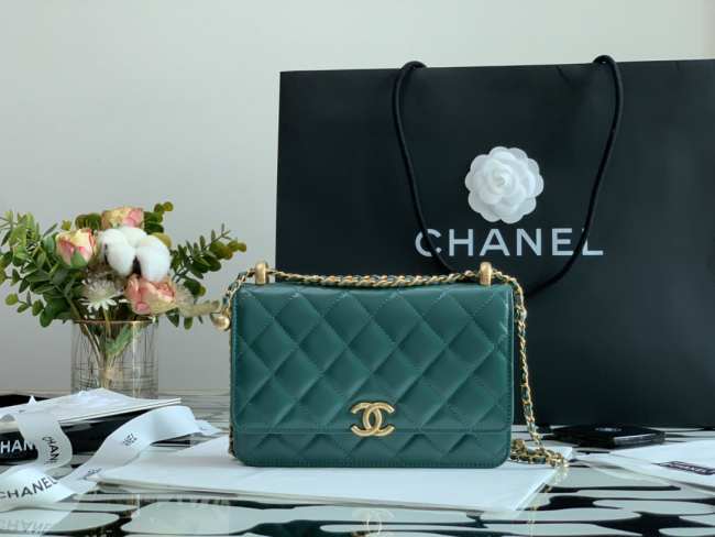 Chanel Calfskin Wallet On Chain Woc Bag 005 19CM - 1