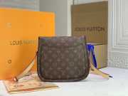 Louis Vuitton Saint Cloud Bag M51242 - 5