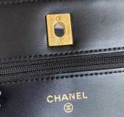 Chanel WOC Bag Black 19cm 02 - 2