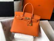 Hermes Birkin Small Bag Orange 25cm - 1