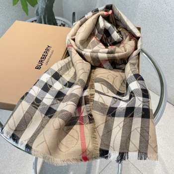 Burberry Scarf 001