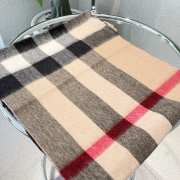 Burberry Scarf 002  - 6