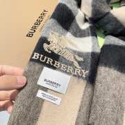 Burberry Scarf 002  - 3