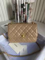 Chanel WOC Shoulder Bag Beige 22cm - 1