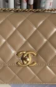 Chanel WOC Shoulder Bag Beige 22cm - 3