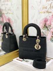 Dior Lady D-Lite Bag 24cm - 6