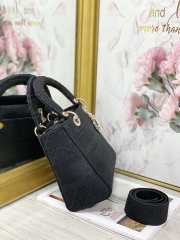 Dior Lady D-Lite Bag 24cm - 4