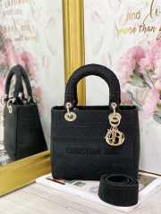 Dior Lady D-Lite Bag 24cm - 3