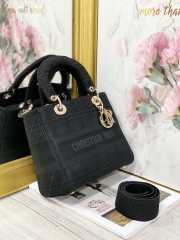 Dior Lady D-Lite Bag 24cm - 2