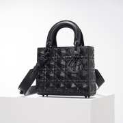 Dior lady Bag Black 20cm  - 3