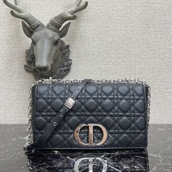 Dior Caro Bag 28cm 005