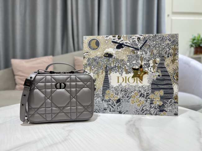 Dior Caro Box Bag with Chain Grey 18cm - 1