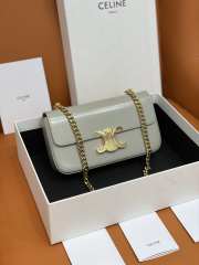 Celine Triomphe Shoulder Bag 197993 Grey 20cm - 1