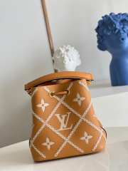 LV Neonoe Monogram BB Bag M46029 20cm - 4