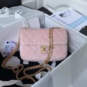 Chanel Flap Pink Bag 20cm - 1