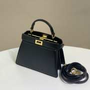 Fendi Peekaboo ISeeU Handbag Black 20cm - 4