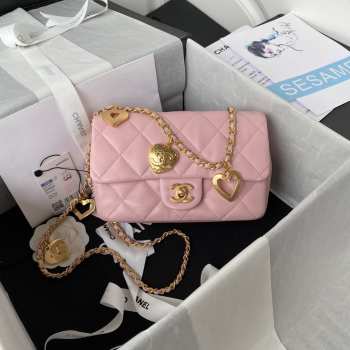 Chanel Flap Pink Bag AS3456