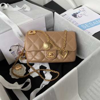 Chanel Flap Brown Bag AS3456