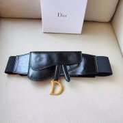 Dior Saddle Belt 12cm - 1