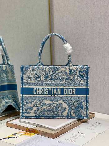 Dior Book Tote Bag 04