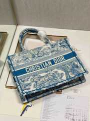 Dior Book Tote Bag 04 - 3