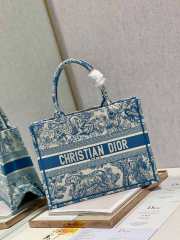 Dior Book Tote Bag 04 - 5