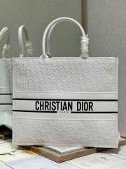 Dior Large Book Tote Bag in White - 1