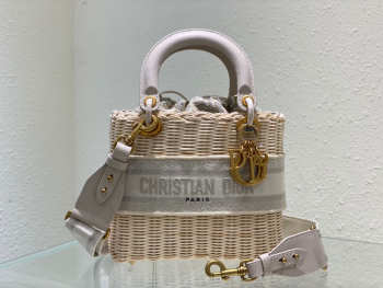 Dior Lady Handbag 03