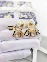 Dior Earrings 01 - 1