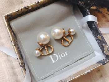 Dior Earrings 02