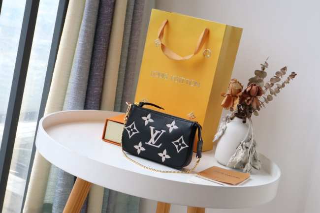 Louis VuittonL Mini Pochette Accessoires Bag 02 - 1