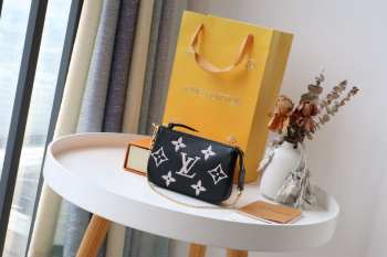 Louis VuittonL Mini Pochette Accessoires Bag 02