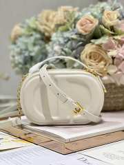 Dior CD Signature Bag with Strap in White 18cm - 2