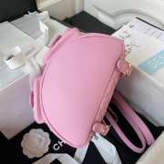 Chanel Backpack in Pink  - 2