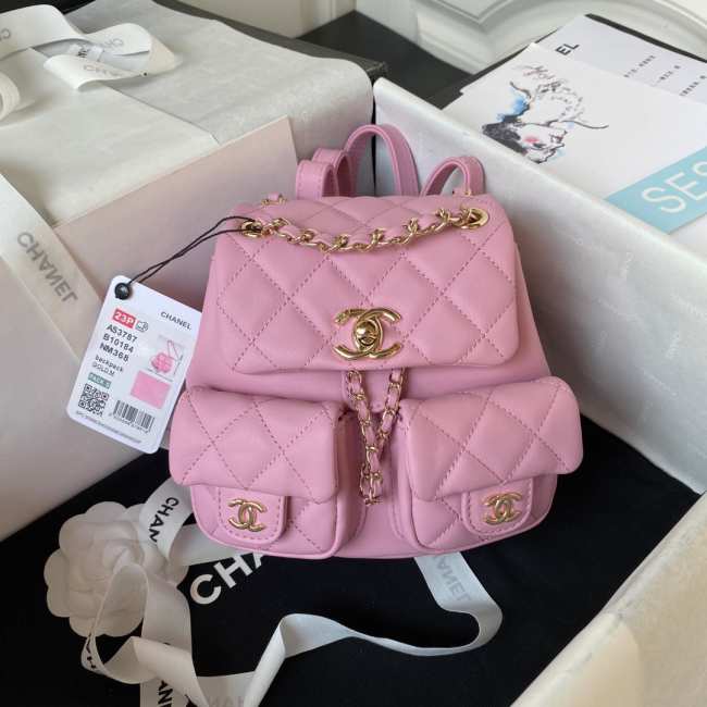 Chanel Small Backpack in Pink  - 1