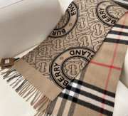 Burberry Scarf 004 - 2