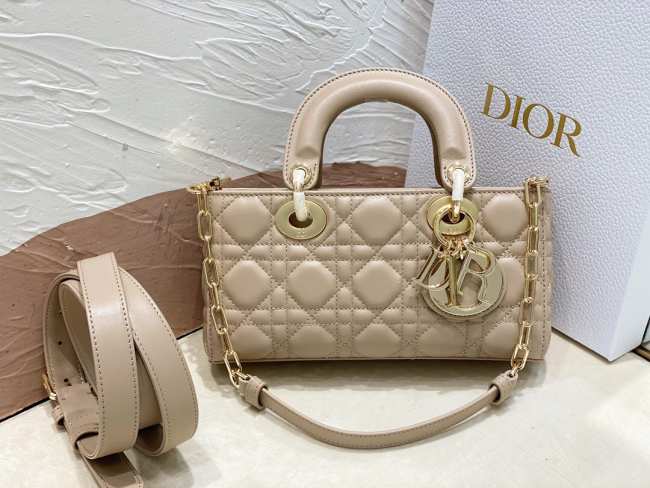 Dior Lady D-Joy Bag 22CM 01 - 1