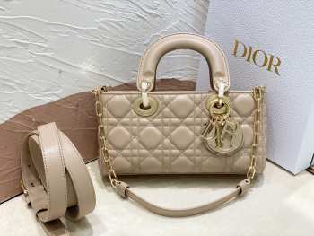 Dior Lady D-Joy Bag 22CM 01