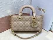 Dior Lady D-Joy Bag 22CM 01 - 3