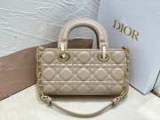 Dior Lady D-Joy Bag 22CM 01 - 2