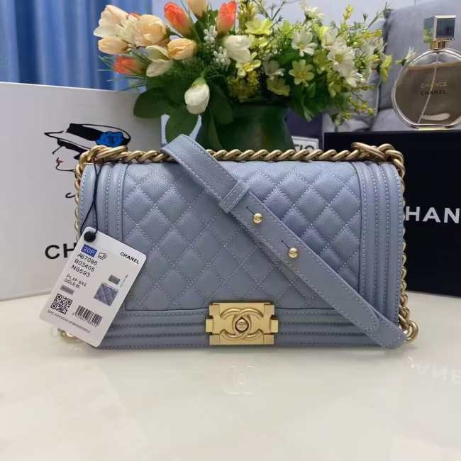 Chanel Leboy Bag 25cm 01 - 1