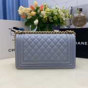 Chanel Leboy Bag 25cm 01 - 3