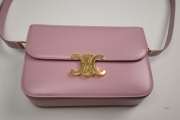 Celine Triomphe Bag Pink 22cm - 2