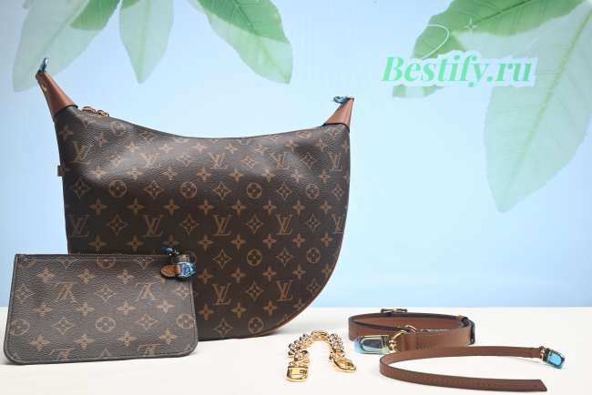 Louis Vuitton Monogram Loop Hobo Bag M46311 - 1