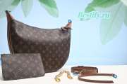 Louis Vuitton Monogram Loop Hobo Bag M46311 - 3