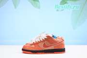 Concepts x Nike SB Dunk Low FD8776-800 - 1