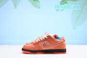 Concepts x Nike SB Dunk Low FD8776-800 - 5