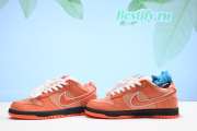 Concepts x Nike SB Dunk Low FD8776-800 - 2