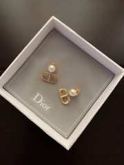 Dior Earrings 03 - 1